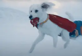 &iexcl;Krypto inspira adopciones!