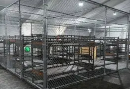 C&oacute;nsul de M&eacute;xico en Miami confirma detenci&oacute;n de m&aacute;s de 30 mexicanos en centro migratorio Alligator Alcatraz