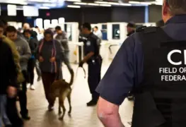 Agentes de aduanas admiten colaboración con narcos mexicanos