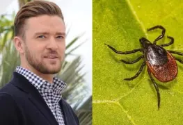 Justin Timberlake Rompe el Silencio sobre su Diagnóstico de Enfermedad de Lyme