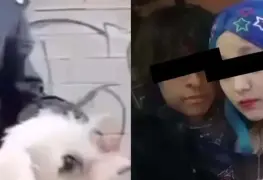 Detenidos dos menores por presunto sacrificio de un perro en Nuevo León