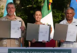 Histórico acuerdo trinacional para preservar la Gran Selva Maya