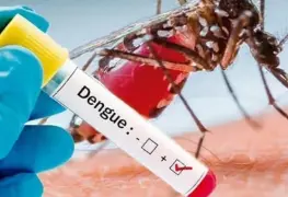 Dengue en México 2025: situación crítica y medidas de prevención