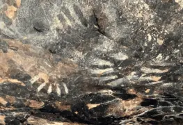 Confirman Hallazgo de Pinturas Rupestres en Cañón de las Manitas, Puebla