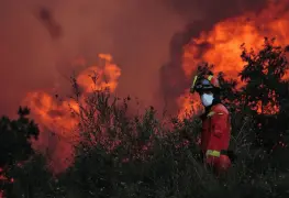 Incendios forestales arrasan España