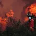 Incendios forestales arrasan España