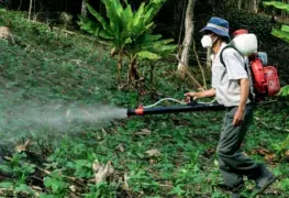 México prohíbe 35 plaguicidas