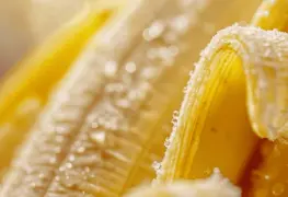 Fibras de banana, su importancia nutricional y cantidad recomendada