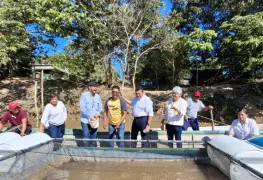 Mojarras de 500 gramos alcanzadas