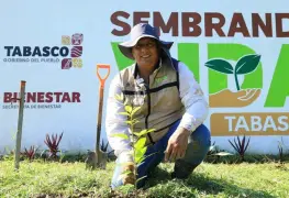 Jornada de Reforestación 2025 en Tabasco: ¡Participa y planta árboles!