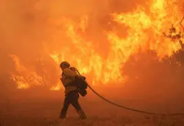 IA revoluciona la predicción de incendios forestales