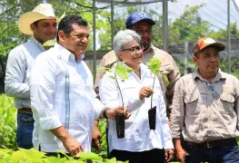 Sedap anuncia la Jornada de Reforestación 2025 en Tabasco