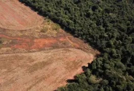 Comisión Europea posterga aplicación de ley contra deforestación importada