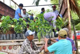 SEDAP convoca a Jornada de Reforestación en Tabasco