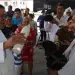 San Francisco de Asís honrado con bendición de mascotas en Tampico