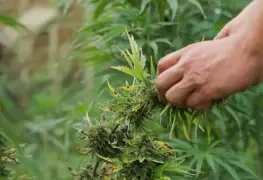 Tratamiento eficaz para dolor lumbar crónico