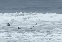 Guardavidas de Manzanillo rescata a joven en medio del huracán Priscilla