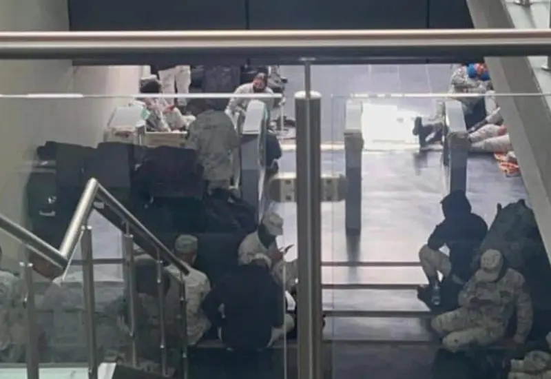 IMG-3