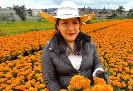 Producción de cempasúchil florece en Ciudad de México