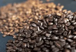 El café mexicano fortalece la economía rural