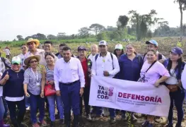 Sembraron 2.6 millones de árboles en Tabasco