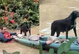 Rescate y cuidado de animales en Poza Rica tras inundaciones