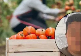 Presencia de esclavitud moderna en San Luis Potosí