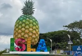 Desapariciones y reclutamiento forzado en Veracruz