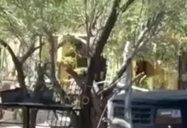 Pareja de tercera edad ejecutada en Nuevo León