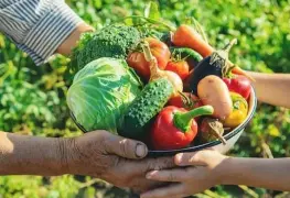 Sector agropecuario impulsa economía con aumento en IGAE