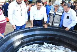 Primera cosecha de tilapia éxito de Pescando Vida