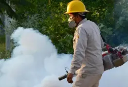 Cuatro casos diarios de dengue en Tabasco