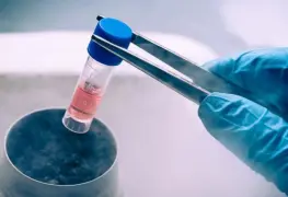 Una alternativa para preservar la fertilidad femenina