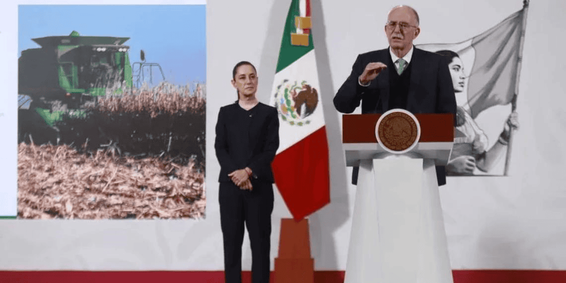 Nuevos apoyos y créditos, acuerdo clave con productores de maíz