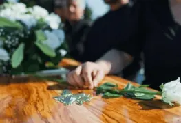 Crecimiento del mercado del cempasúchil en México