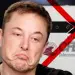 Elon Musk le falla a México miles sin internet pese a contrato millonario
