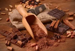 ¡Lánzate a Comalcalco!; este viernes inicia el Prefestival del Chocolate! vive el sabor de Tabasco