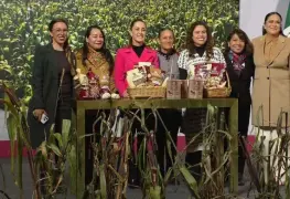 Sheinbaum presenta el Plan Nacional del Maíz Nativo