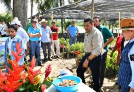 Presidenta Sheinbaum respaldará producción de cacao en Tabasco