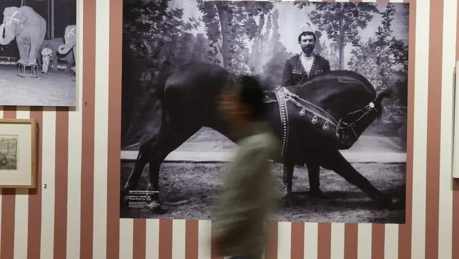 Arte circense y crítica social se unen en exposición del Munal