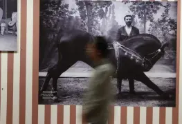 Arte circense y crítica social se unen en exposición del Munal