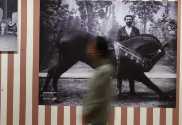 Arte circense y crítica social se unen en exposición del Munal