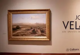 Exposición en el museo Kaluz revela la botánica de Velasco