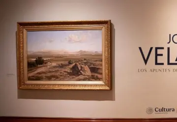 Exposición en el museo Kaluz revela la botánica de Velasco