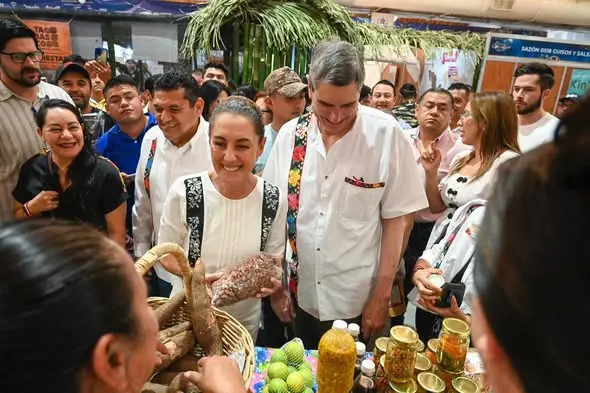Avances en la producción de cacao en Tabasco