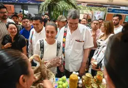 Avances en la producción de cacao en Tabasco
