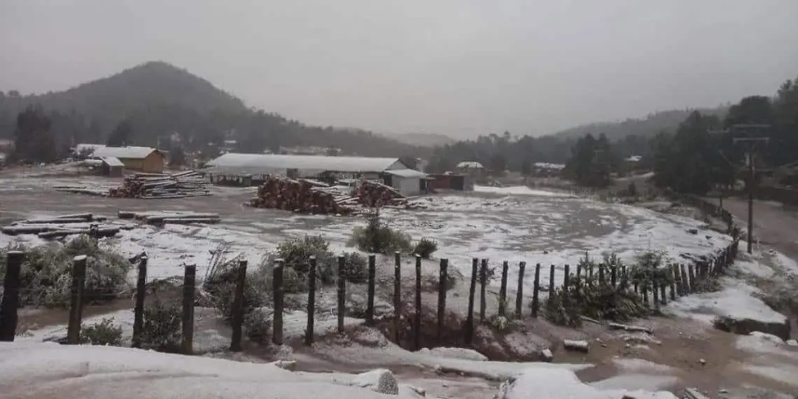 Ya cayó la primera nieve en Durango