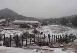 Ya cayó la primera nieve en Durango