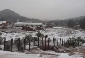 Ya cayó la primera nieve en Durango