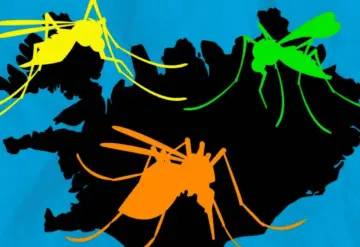 Alerta por la presencia de mosquitos en Colorado e Islandia